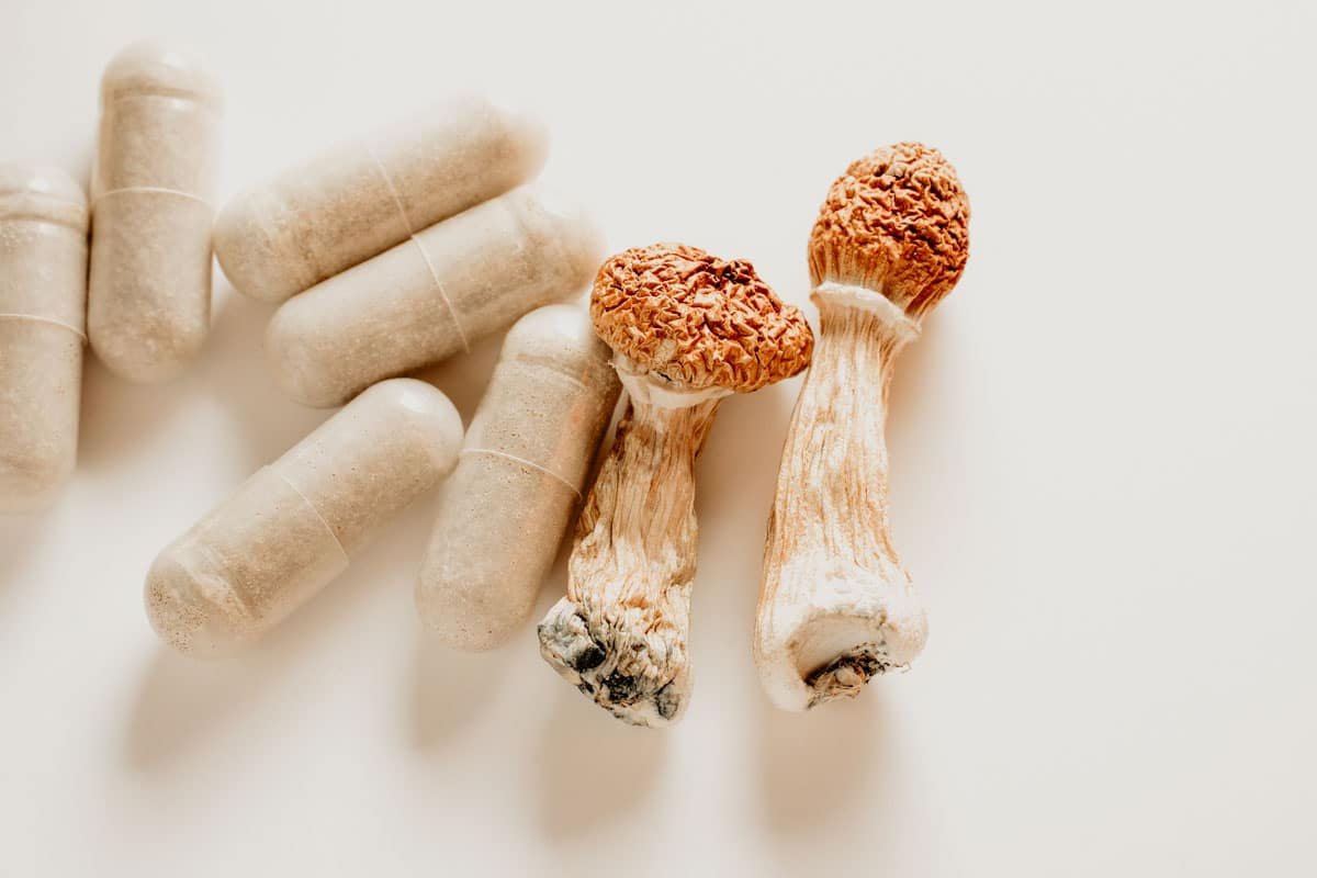 magic mushrooms australia